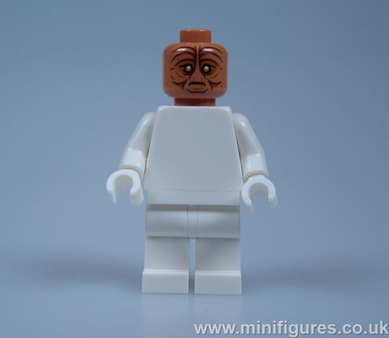 OM Dressellian Head